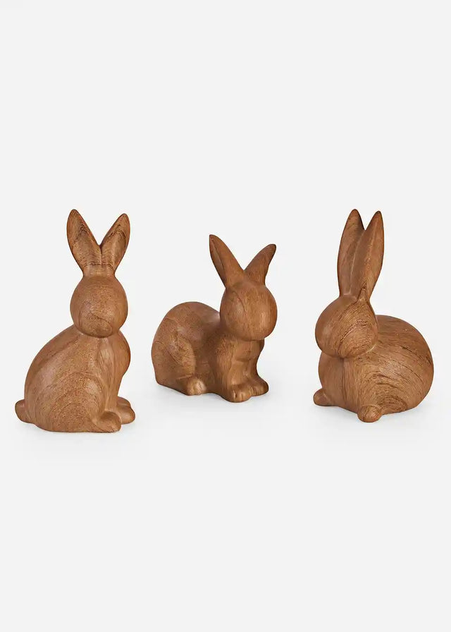 25188924