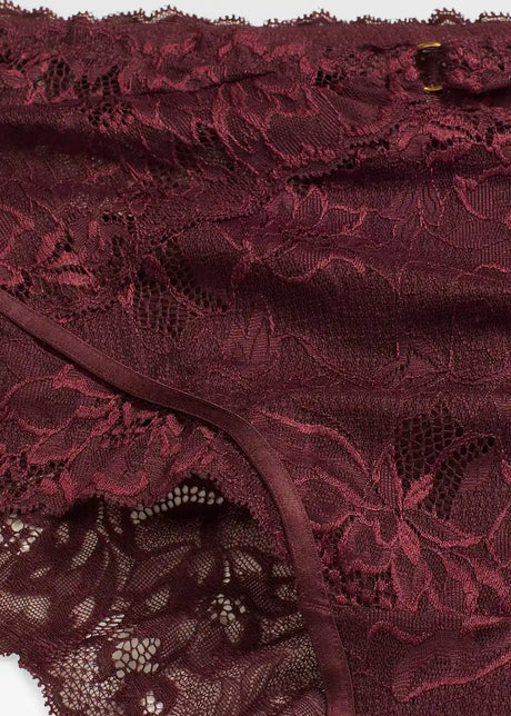 25094819
