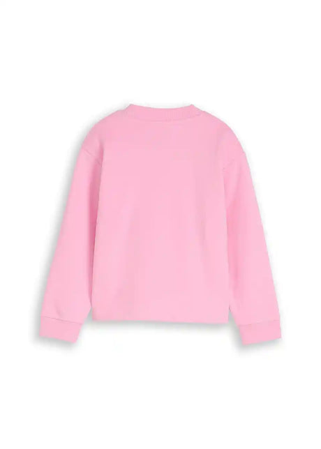 26003882