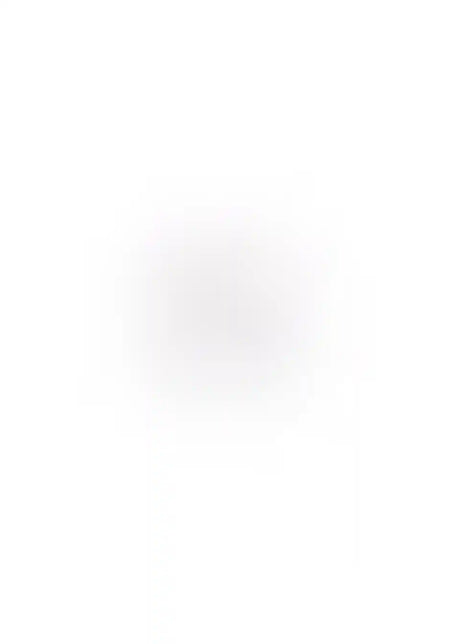 26005187