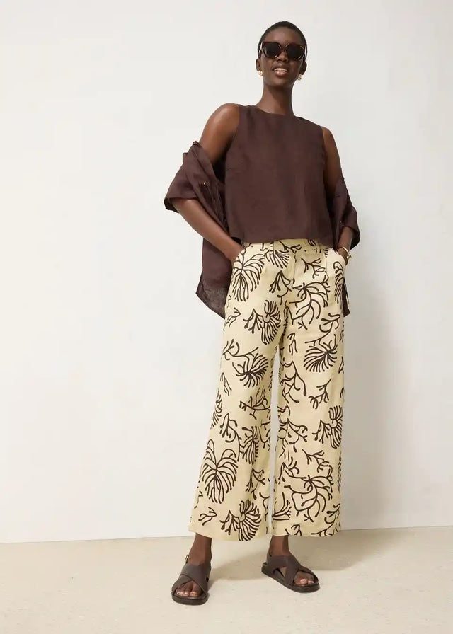 26049808