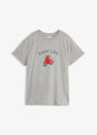 26076383